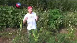 Привет, земляне! 3 серия