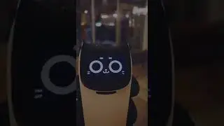 The robot has become an excellent assistant — it can simultaneously carry four trays of ten kilogram