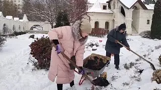 Опыт посадка луковиц тюльпанов в снег...