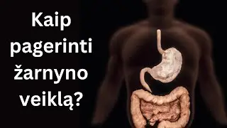 Kaip pagerinti žarnyno veiklą?