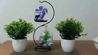 very nice aquarium#beautiful house#short