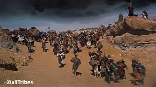 What Really Happened? 