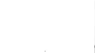 EscapeFromTarkov white screen bug after .12 update