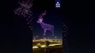 Show de luces navideñas