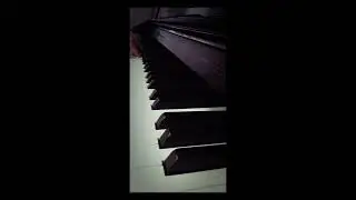 Сыграл в ТРЦ Макс Корж - Мотылек на пианино