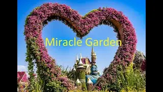 Dubai Miracle Garden
