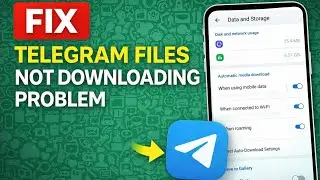 Fix Telegram Files Not Downloading Problem