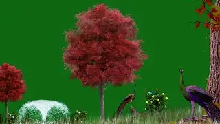 Green Screen Background Video effects hd / Tree Green Screen Video Effects / Green Screen Animation