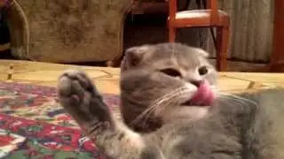 Когда встаёшь утром