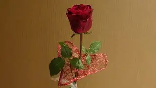 Каркас СЕРДЦЕ для цветка или букета DIY