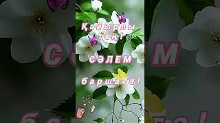 Қайырлы таң! Доброе утро! Good morning.#shorts