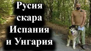 Правителството на Педро Санчес спира голяма сделка с Унгария - 01.09.2024 г.