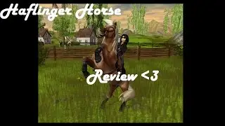 -HAFLINGER HORSE REVIEW- Welcome Allegro