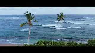 Sri lanka 2022 Indian Ocean