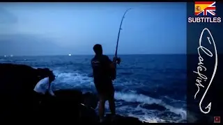Fishing for bluefish with mullet fillet: one of the first videos!