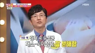김치 속 유산균! 채소와 식이섬유를 잘 분해한다!? [엄지의 제왕 150회]