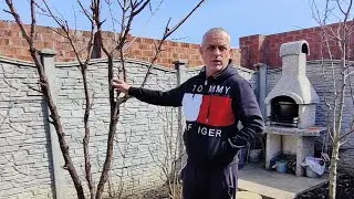 Хозяин Андрей  проводит экскурсию по двору.