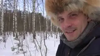 В зимний лес на машине
