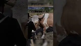 RDR2 Mod Rustling #rdr2