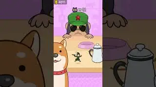 Hide and Seek: Cat Escape! 👀🐱243 Endless Mode Gameplay Walkthrough | Best Android, iOS Games