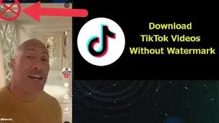 How To Download Tiktok Video Without Watermark.