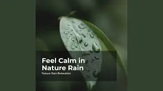 Serene Meadows Rain