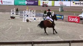 Dadais van het Kastanjehof Åby 15 06 21
