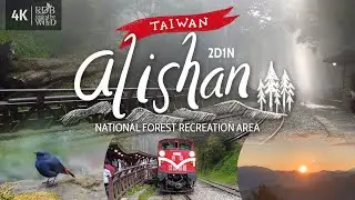 [Taiwan Vlog 1] Alishan National Forest | Scenic Forest Railway Ride | Sunrise | Chill Hike