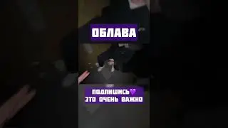 #парадеевич #твич #twitch #хозяева