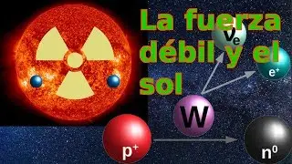 La fuerza débil y la vida de las estrellas