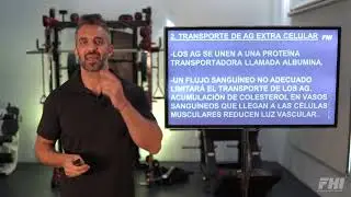 PROCESO DE LA PÉRDIDA DE GRASA CORPORAL