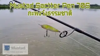 ทดสอบเหยื่อ Mustad Scatter Pen 70S กะพงวังธรรมชาติ