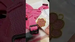 У таксят снова обновки!!!😍😍😍