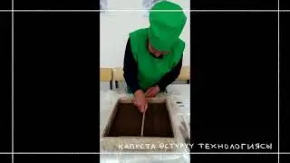 КАПУСТА ОСТУРУУ ТЕХНОЛОГИЯСЫ