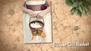 Butterfly Wedding Theme