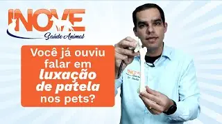 Luxação de patela nos pets - Inove Saúde animal