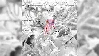 Boulevard Depo - White Trash (ft. ЛАУД) (FL Studio Instrumental Remake)