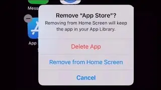 When you delete the app store…