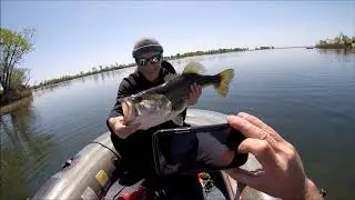 Rancho Seco 11 pound Bass #RanchoSeco #BigBass #Urbanbassslayers