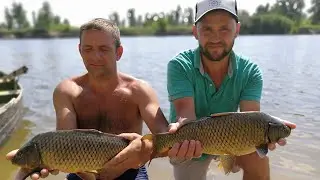 В погоне за сазаном на Ахтубу, рыбалка на реке Ахтуба, Рыбалка 2020, карпфишинг, Рыбалка Маляевка,