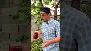 მენთალ ბრიქდოუვნი...