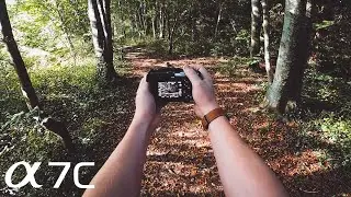 POV Photography w/Sony A7C & 50mm 1.8 // WOODLAND