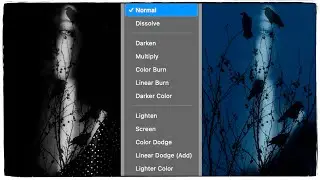 Unlock Darkening Blending Modes in Photoshop: A Step-by-Step Guide