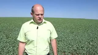 Первомайск  Июнь  Сельское хозяйство
