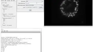 BigDataProcessor2: Drift Correction