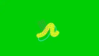 Motion Graphic Green Screen