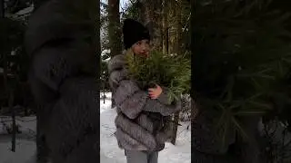идеальное качество твоих видео ✨