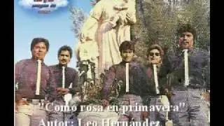 Leo y su grupo imagen de amor - Como rosa en primavera