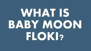 What is Baby Moon Floki