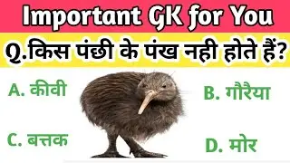 gk questions||general knowledge||gk in hindi||general knowledge questions and answers||ms gk adda||